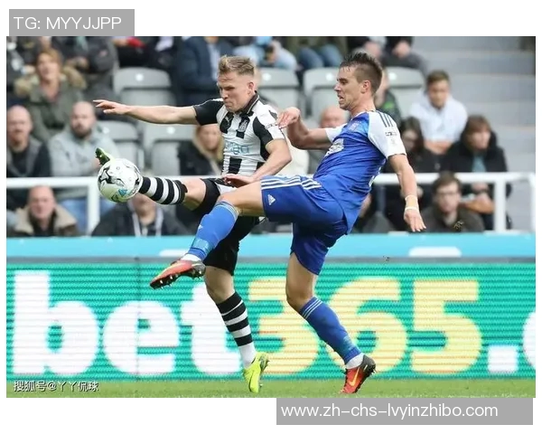 斯旺西主场迎战纽卡斯全力争胜展现英超激情对决